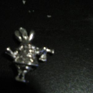 Alice in wonderland charms